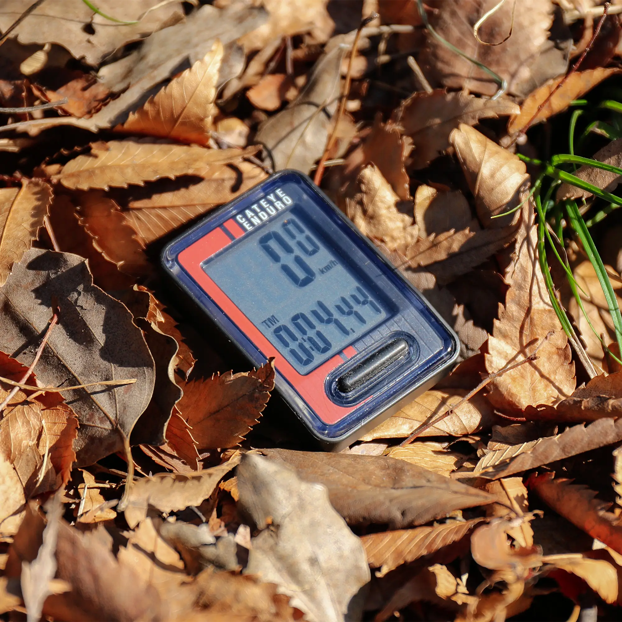 A CATEYE Enduro (CPSC) digital stopwatch showing 00:44.44 rests on dry brown leaves and green grass, appearing as if dropped by an adventurous cyclist installing a heavy-duty wired computer with a zip-tie mount.