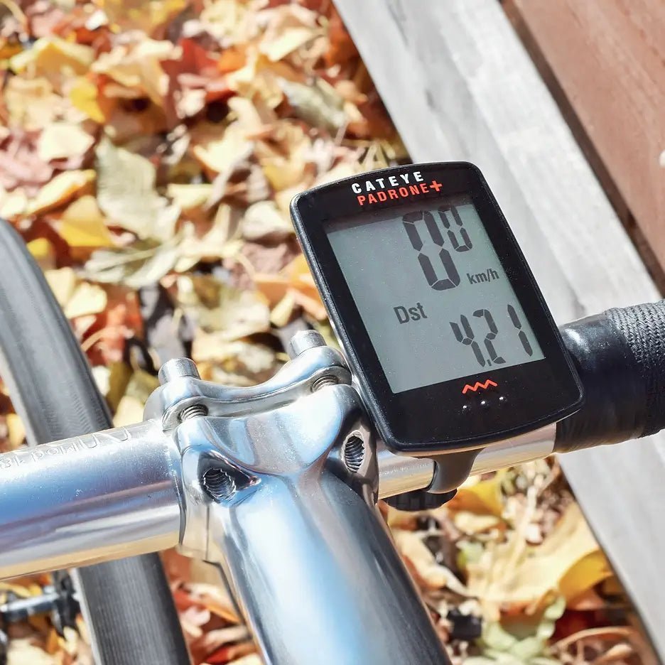 A close-up of a CATEYE Padrone Plus (CPSC) bike computer with a large display showing 42.1 km on the handlebar, with fallen autumn leaves scattered on the ground in the background.