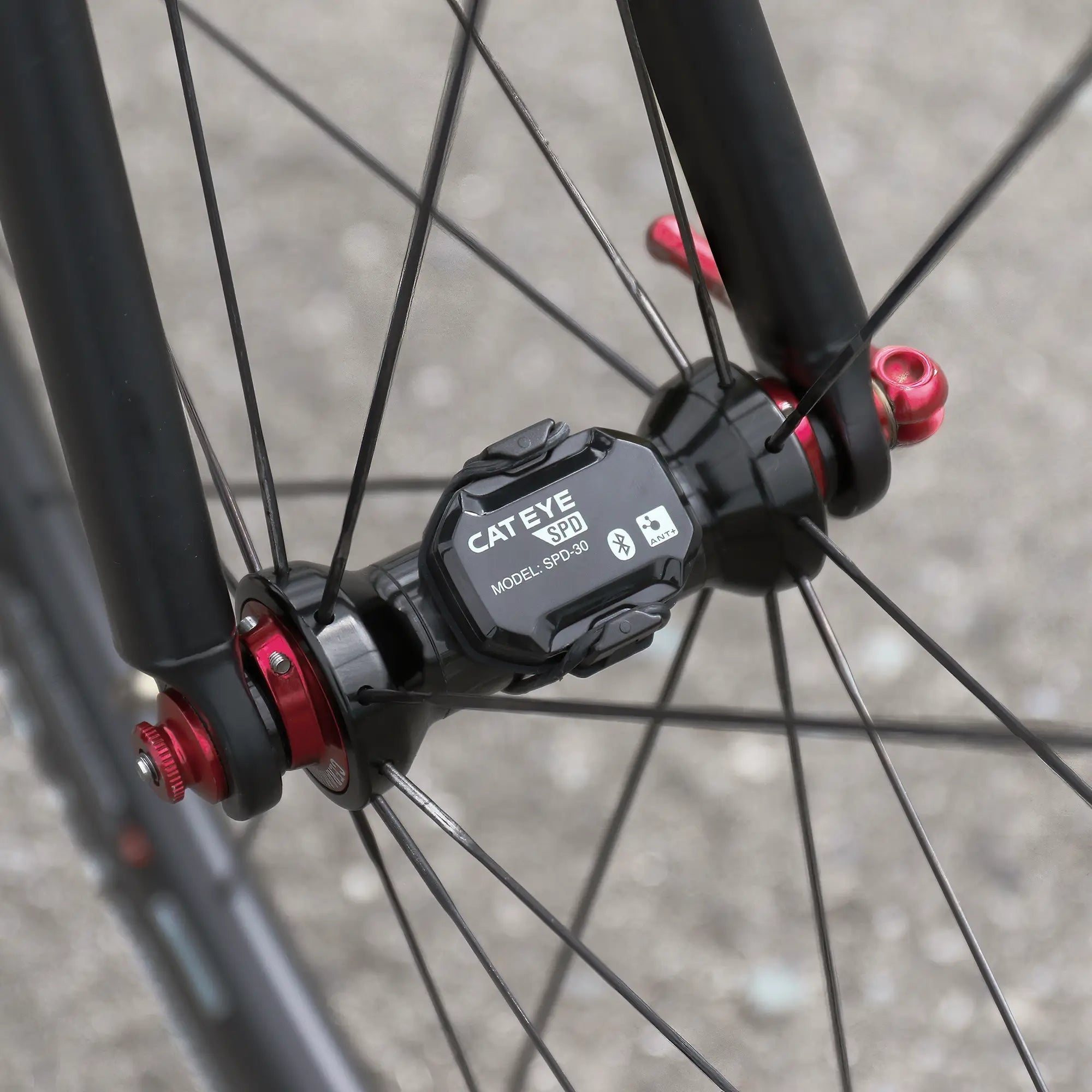 Close-up of a bicycle wheel hub with the CATEYE SPD-30 Magnetless Speed Sensor attached to the spokes, showing black and red details against a blurred concrete background. Supports Bluetooth® and ANT+ connectivity.